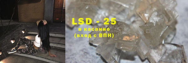 спиды Богородицк