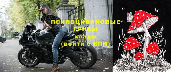 спиды Богородицк
